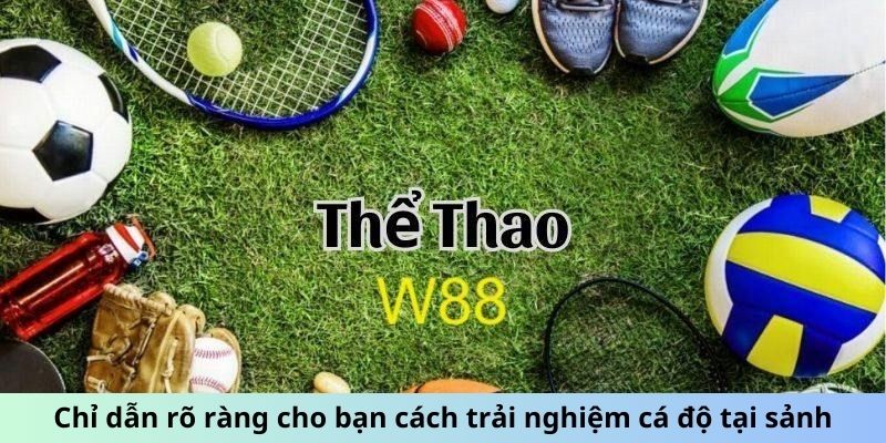 Chỉ dẫn rõ ràng cho bạn cách trải nghiệm cá độ tại sảnh