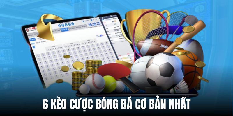 6 dạng cược có tại trang cá độ bóng đá