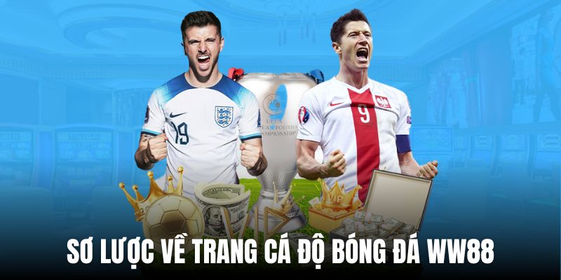 Sơ lược về trang cá độ bóng đá uy tín